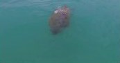 Drone clip, group 1 regime