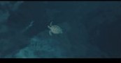 Drone clip, group 1 regime